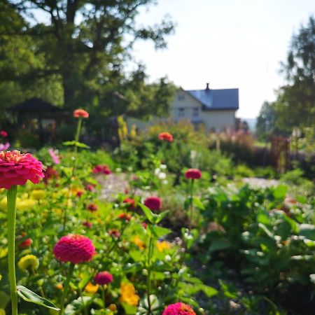 Disponentparken Cafe Och Bed & Breakfast Grangesberg Bagian luar foto
