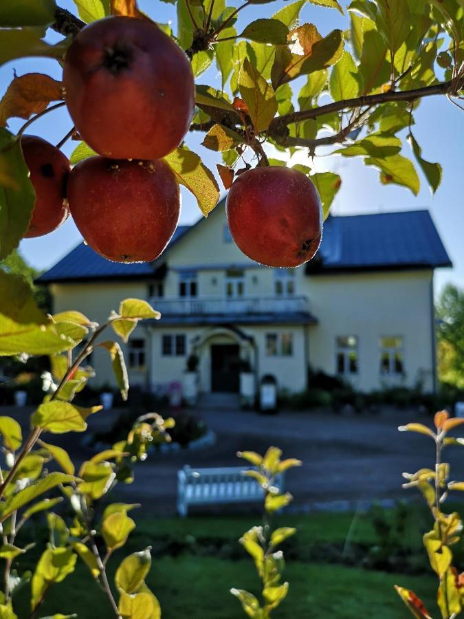 Disponentparken Cafe Och Bed & Breakfast Grangesberg Bagian luar foto