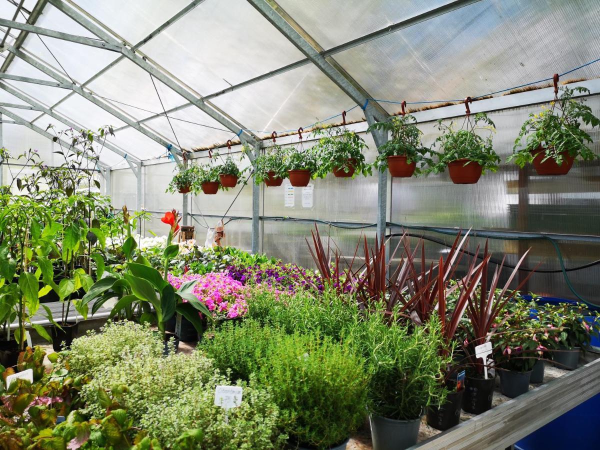 Disponentparken Cafe Och Bed & Breakfast Grangesberg Bagian luar foto